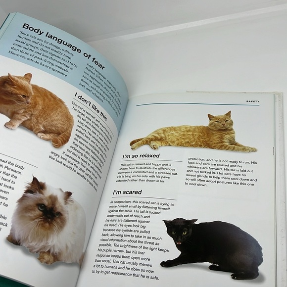 What is my cat Thinking by Gwen Bailey Hardback Book - Picture 5 of 11